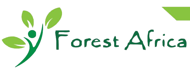 About Us - Forest Africa